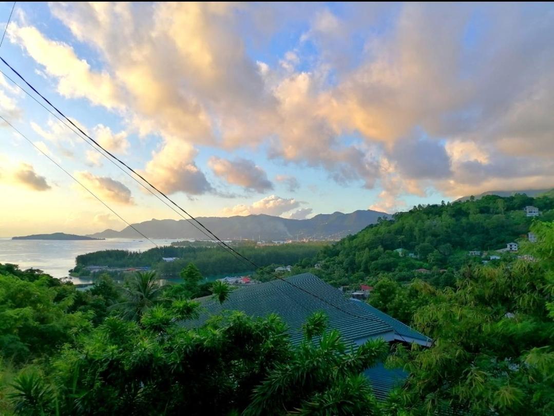 Mountain Anse Etoile